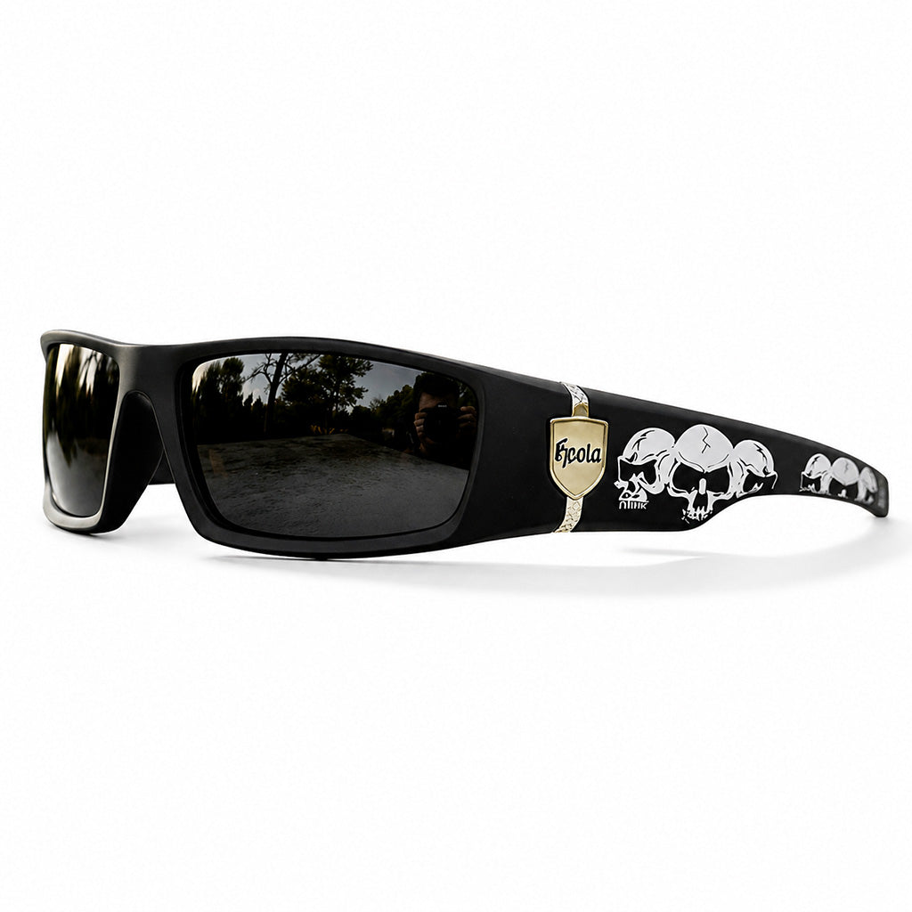 Lunettes de soleil polarisées RetroDrive