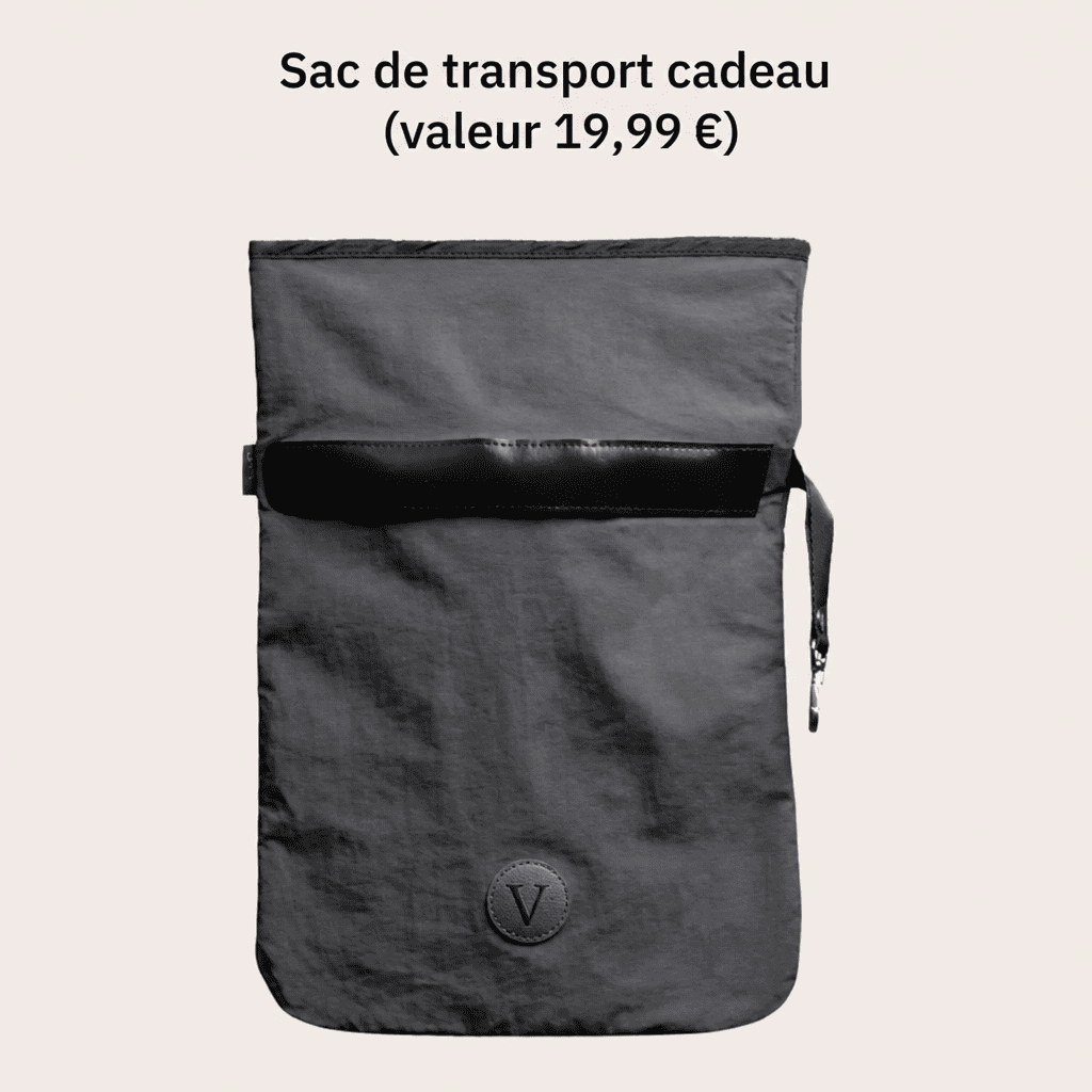 OREILLER DE VOYAGE VELTENE PARIS