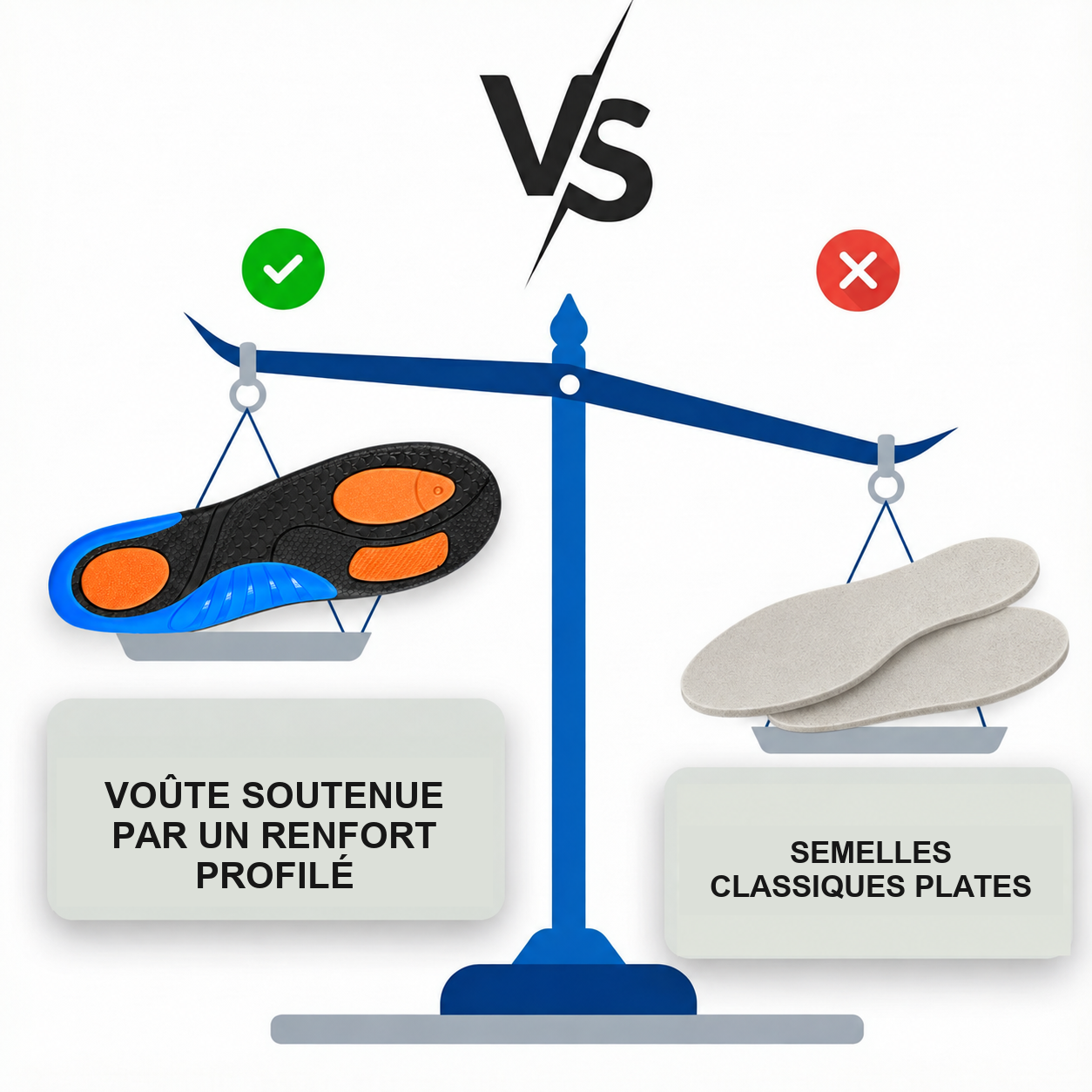 Illustration de la référence Orthora